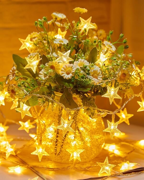 Fairy Lights